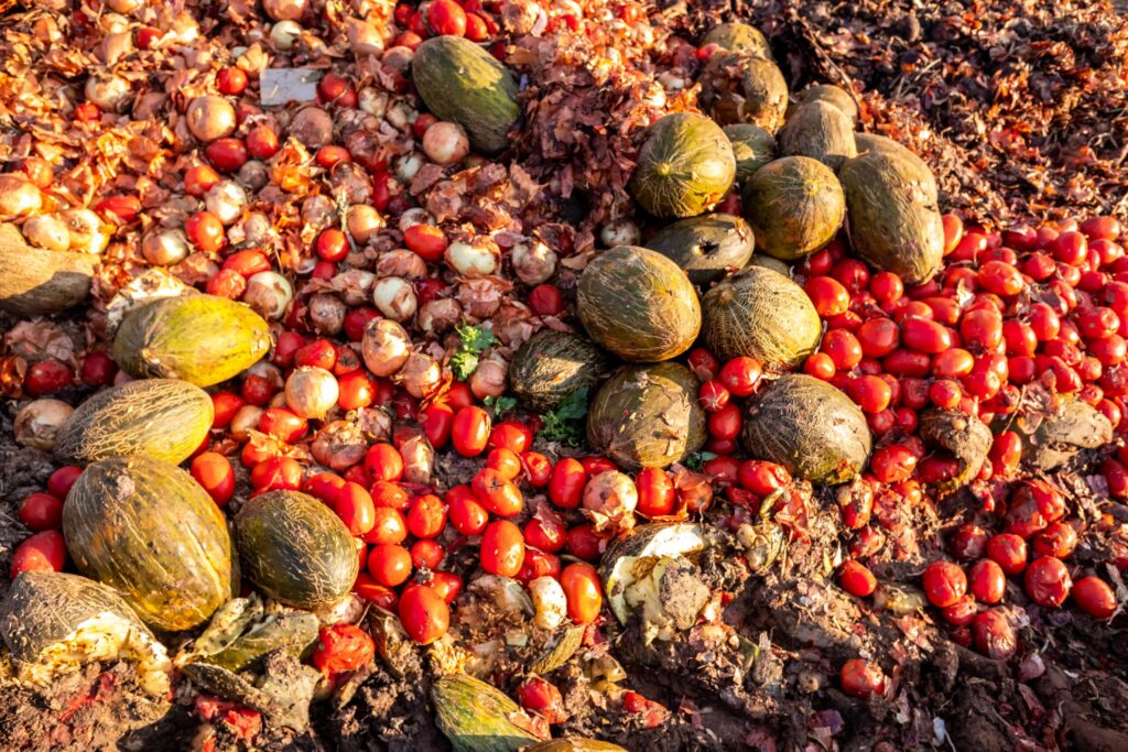 9 Food Waste Management Tips