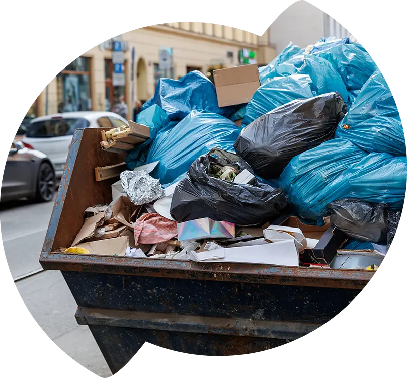 Bin Hire Solutions for Local Councils and Government Agencies​